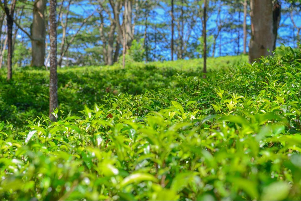 Lak Sewana Home Stay Kandy Dış mekan fotoğraf