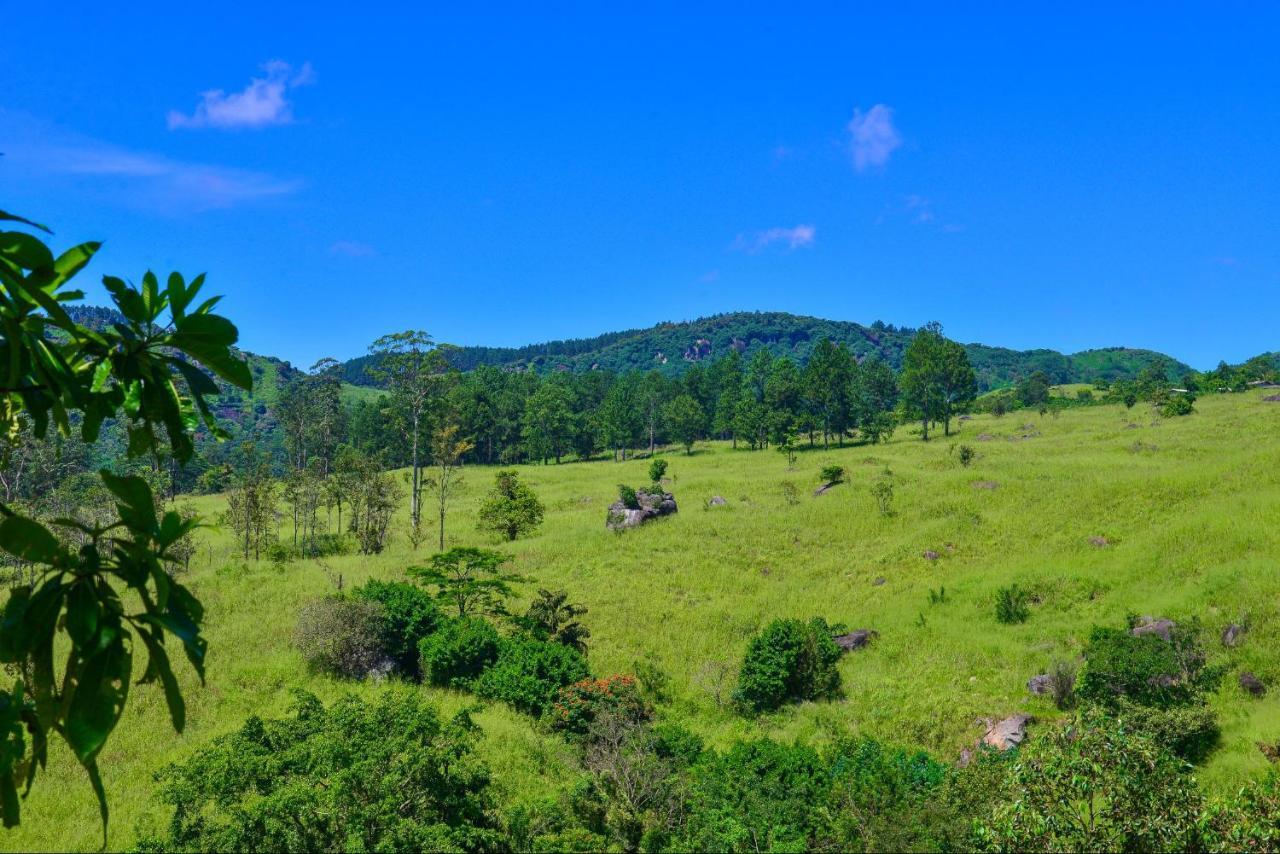 Lak Sewana Home Stay Kandy Dış mekan fotoğraf