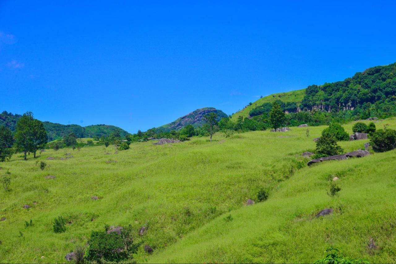 Lak Sewana Home Stay Kandy Dış mekan fotoğraf