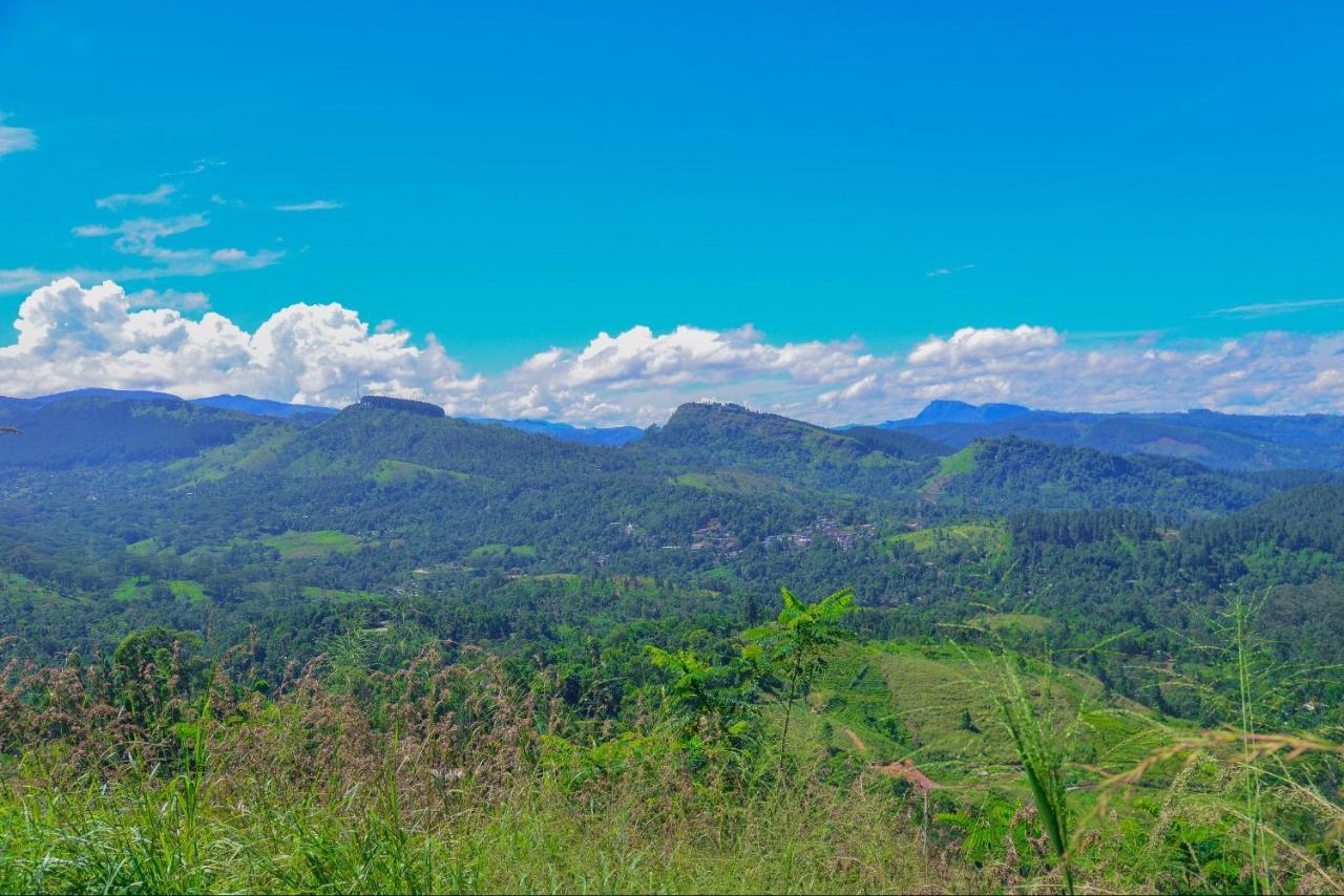 Lak Sewana Home Stay Kandy Dış mekan fotoğraf