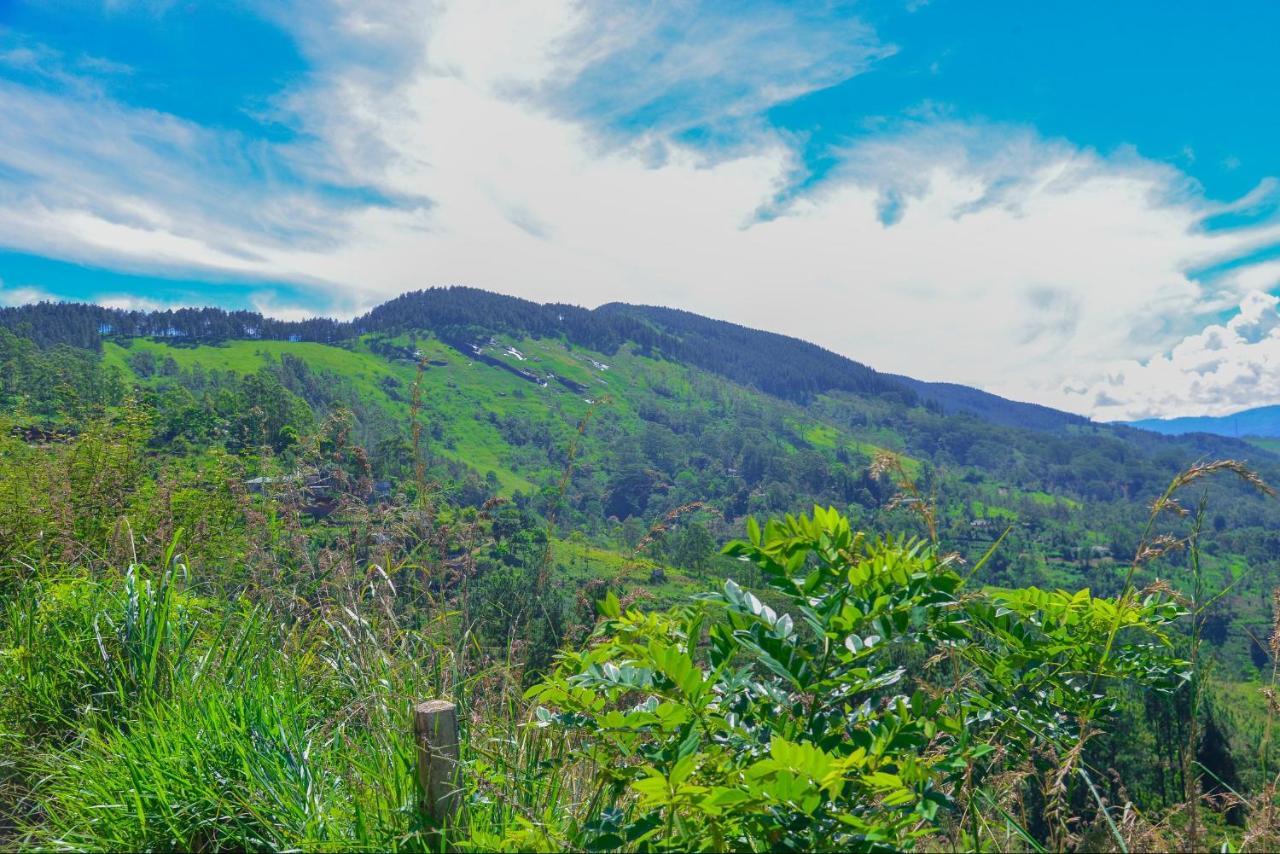 Lak Sewana Home Stay Kandy Dış mekan fotoğraf