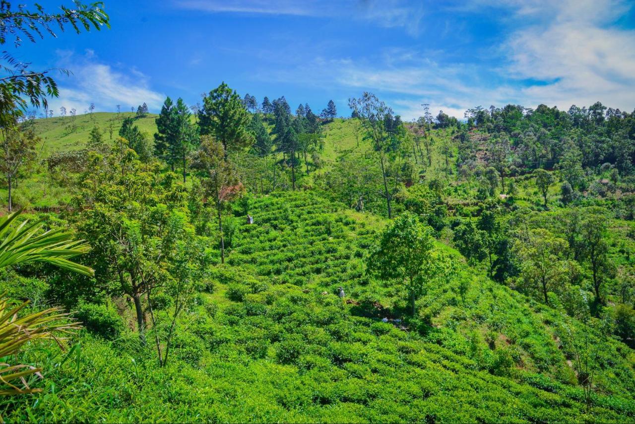 Lak Sewana Home Stay Kandy Dış mekan fotoğraf